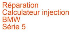 Calculateur injection BMW Série 5 (2010-2013) [F10] phase 1