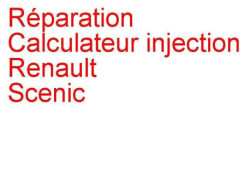 Calculateur injection Renault Scenic 1 (1996-1999) phase 1